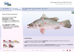  Screenshot Contentseite Fisch